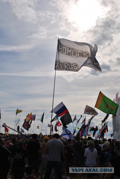 Они пережили Нашествие 2014