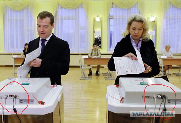 Жена Медведева голосует