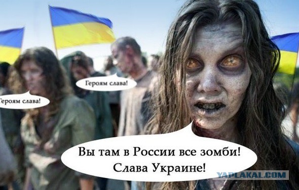 О зомби