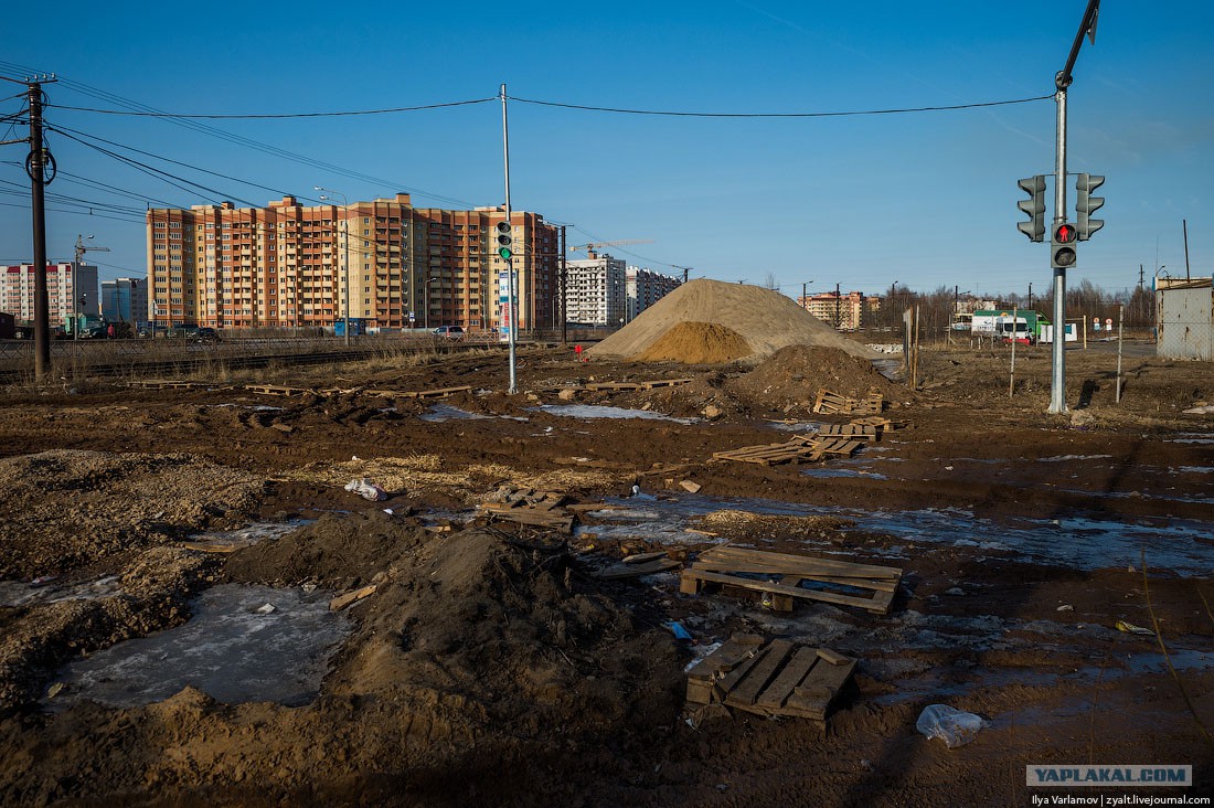 Пустырь. Пустырь стройка. Что находилось на пустыре. Шушары пустырь. Городской пустырь.