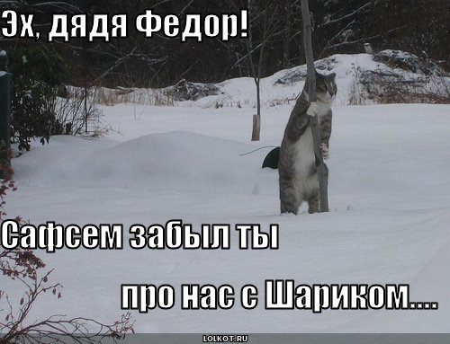Веселые картинки