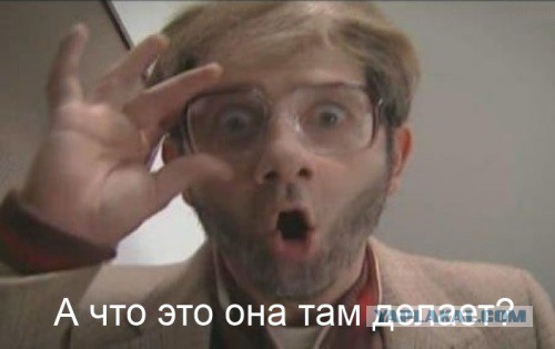 Тестирование ZOOMa