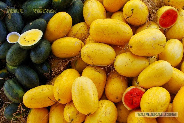 25 тропических фруктов, которые нужно попробовать