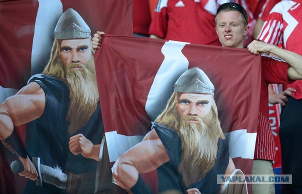 Вот что думают поляки по поводу махача