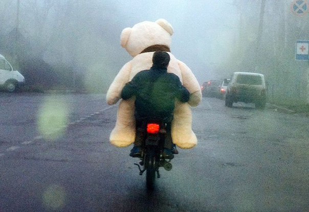 Ужасы и приколы из соцсетей 18+