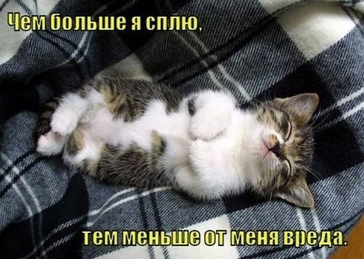 Мохнатые беспредельщики