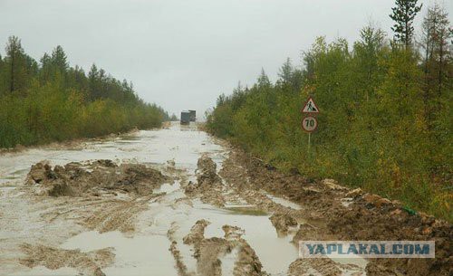 Как строят новые дороги в Узбекистане