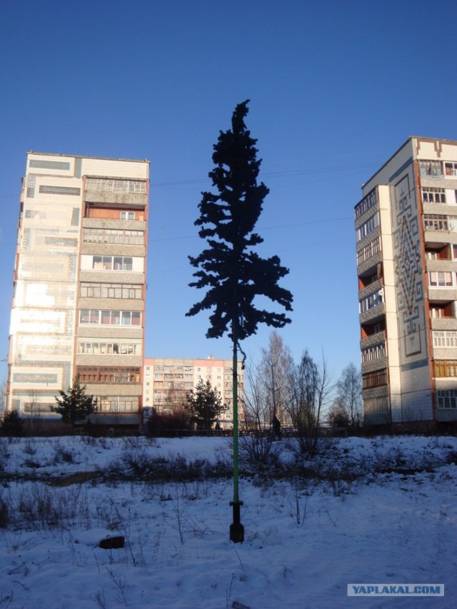В Копейске установили Ель