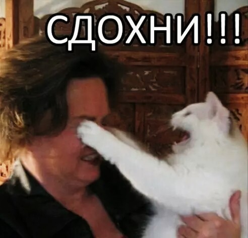 У моей кошки привычка потрошить все бумажное. А ваша кошка так делает?