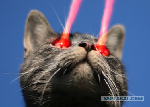 Проблема, которая нервирует миллионы людей, решена