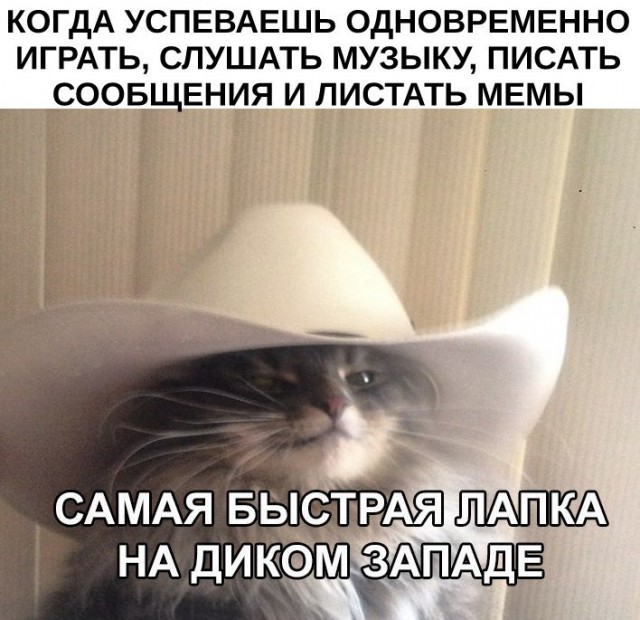 Подборка картинок. Забавных, прикольных - разных!