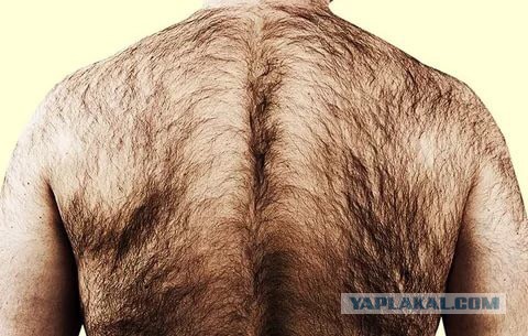Прикольная причёска
