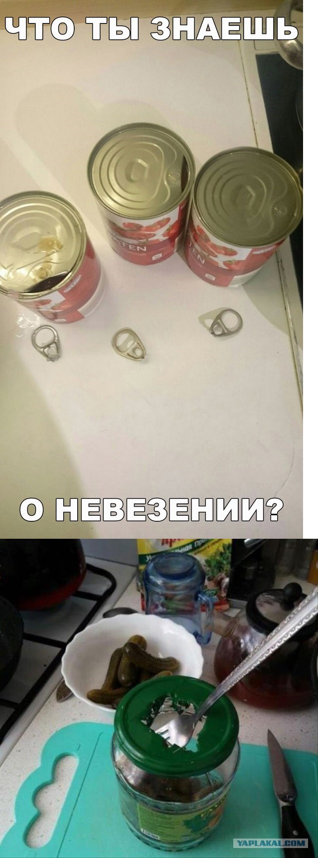 Прикольные картинки абавсём
