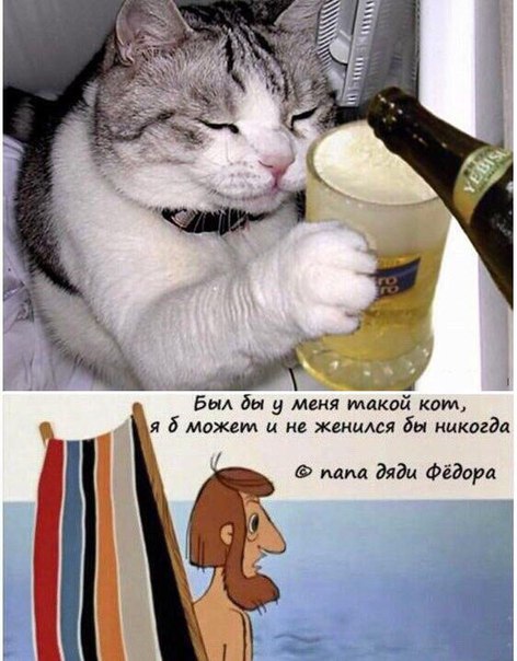 Алкопост на вечер этой пятницы