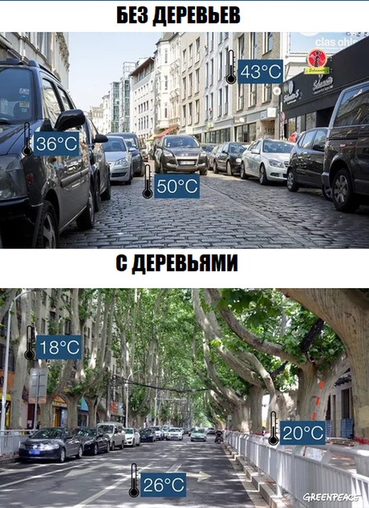 Подборка интересных и веселых картинок 17.08.18