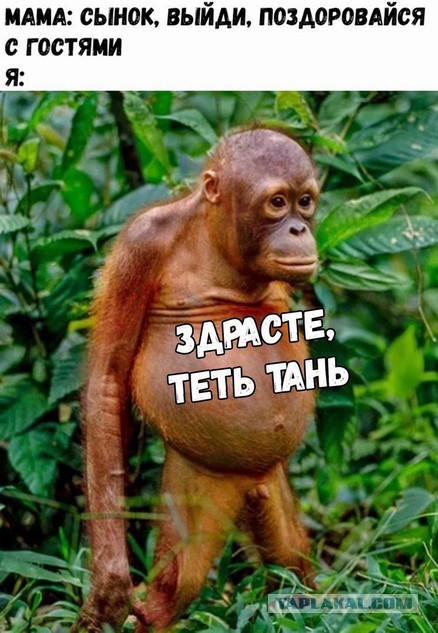 Немного странного юмора на вечер