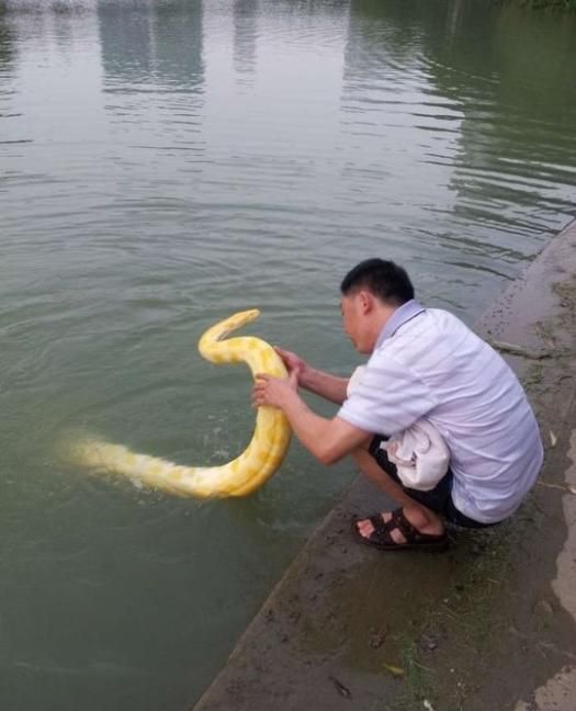 А теперь приступим к водным процедурам