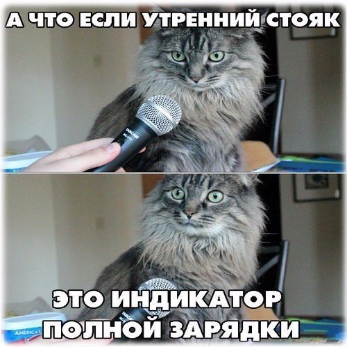 Нестандартный юмор