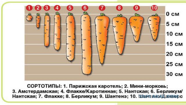 Так говорят в Кулинарке ЯПа