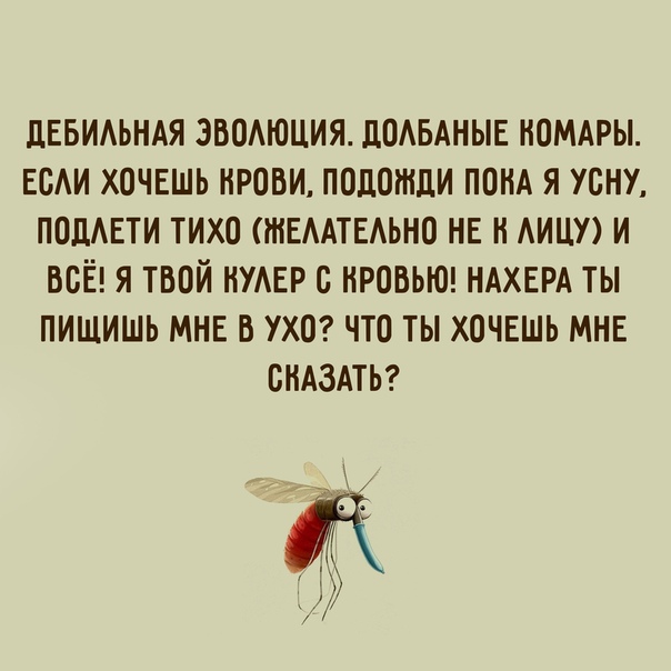 Опять картинок