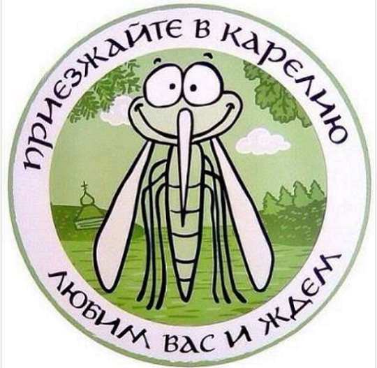 В России могут исчезнуть комары