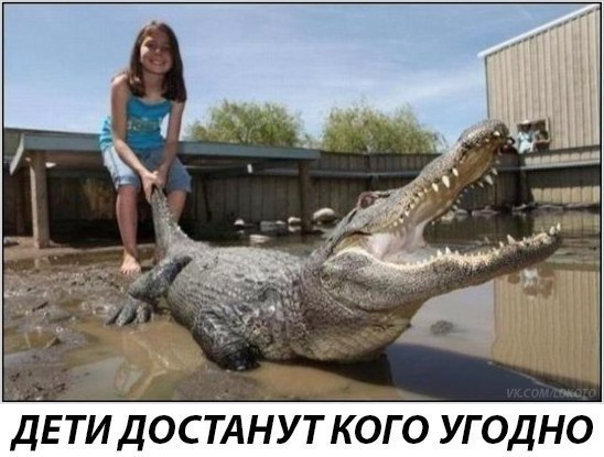 Так себе картинки 10