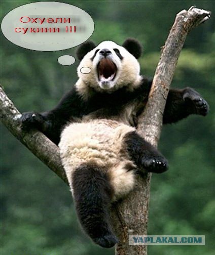 Фотожаба: Граждане!