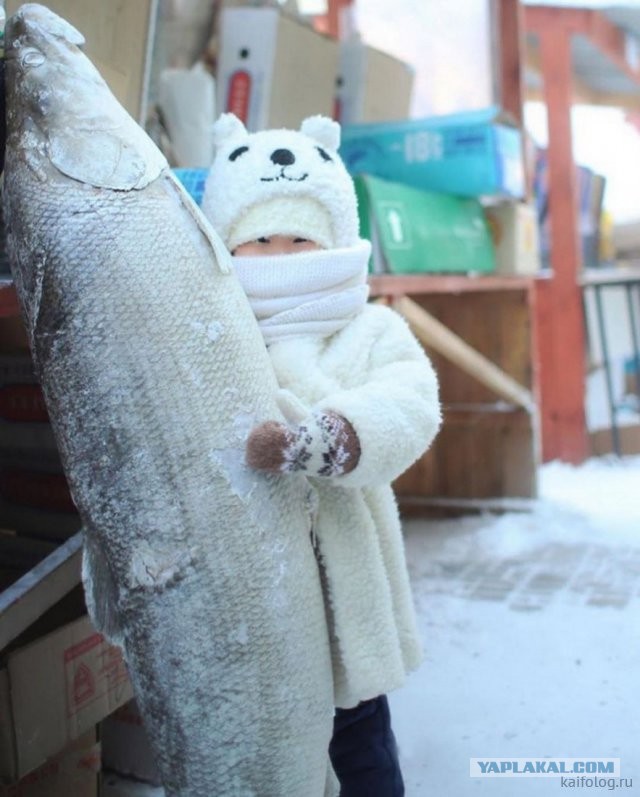 Россия изнутри