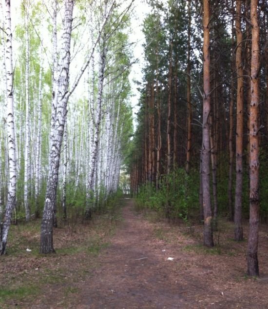 Прикольные и просто красивые картинки 06.08.2020