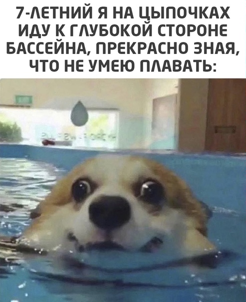 Немного картинок для настроения 05.11.20