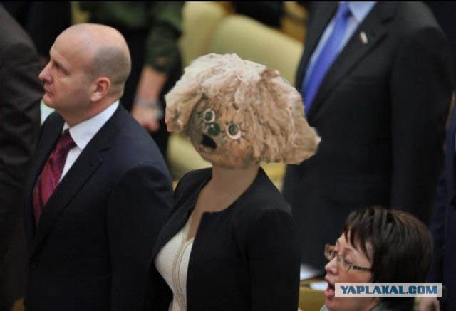 Фотожаба: Депутатка 80 lvl