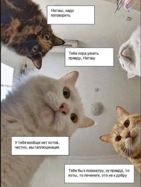 Мемы про Наташу