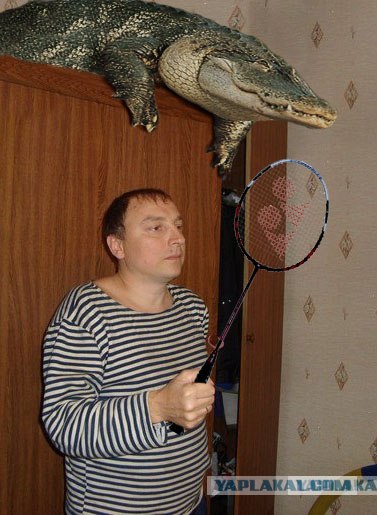 Правнук лейтенанта Шмидта