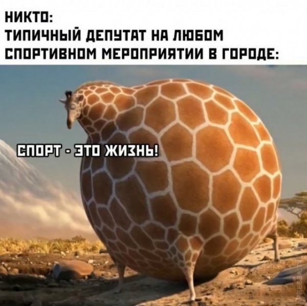 Прикольные и просто красивые картинки 14.01.2021