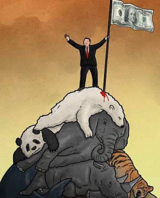 Карикатуры