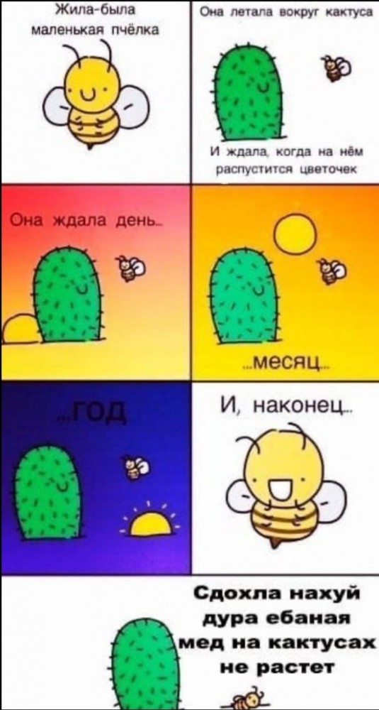 Бредзона 21.03.2021