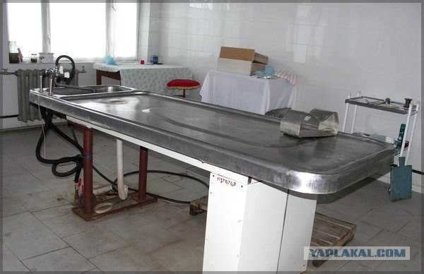 Лжечинуш на Гранд Витаре в Челябинске