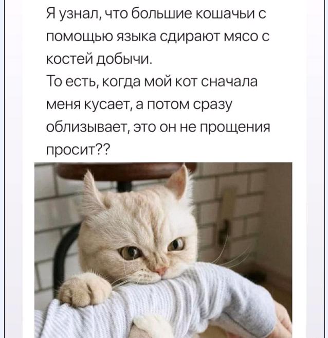 Картинки и мемы для настроения