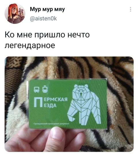 Весёлый полтишок 27.05