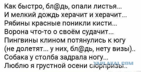 Утепляйтесь!