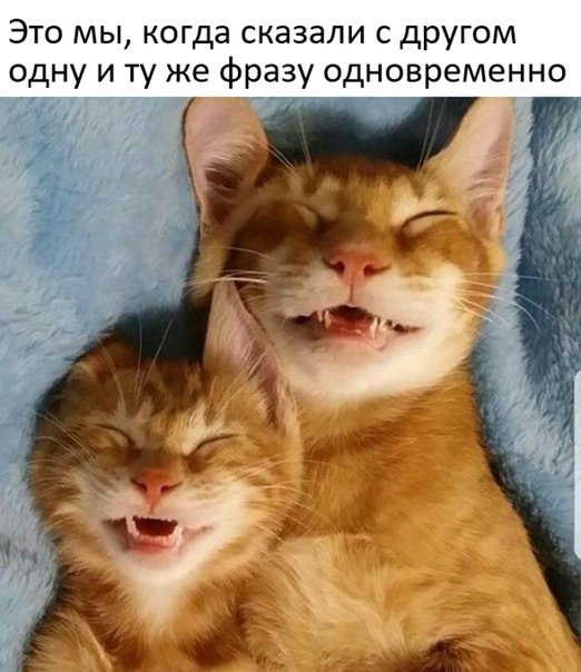 Прикольные и просто красивые картинки 10.11.2021