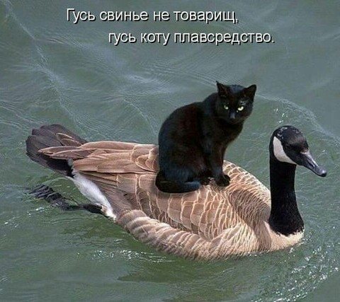 Муж оформил квартиру на маму
