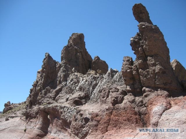 Канары, Тенерифе