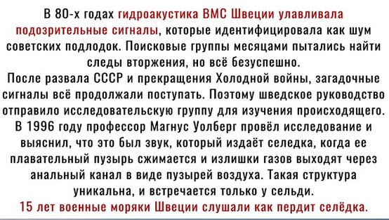 Кто кого? 45-метровый кальмар и светящиеся акулы против ВМС США