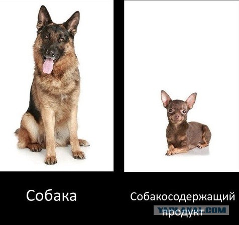 Прощайте, неудачники, я вас никогда не любил!