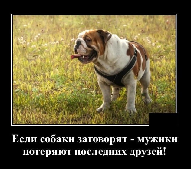 Картинки с надписями 26.07.22