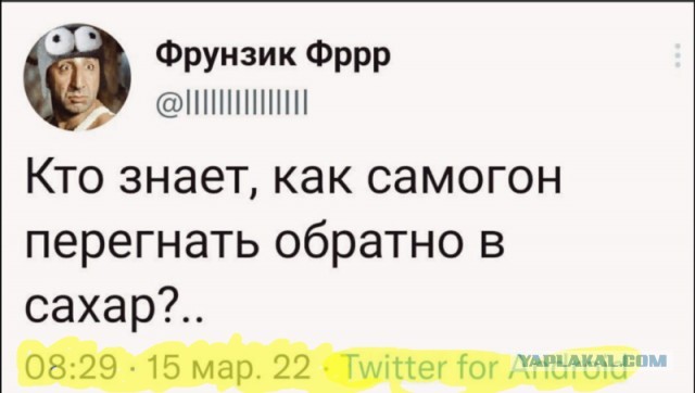 Алкопост 12.11.22