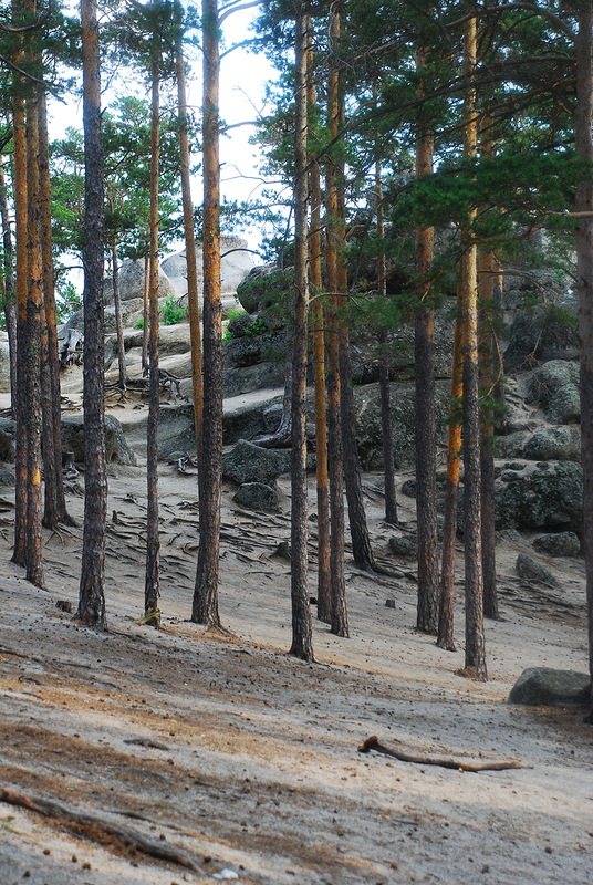 Путешествие на ВАЗе