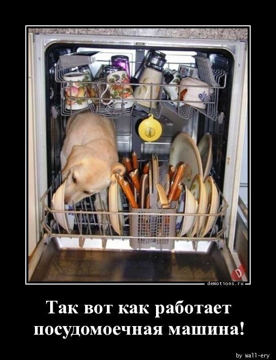 Нуштош 14.04.2023