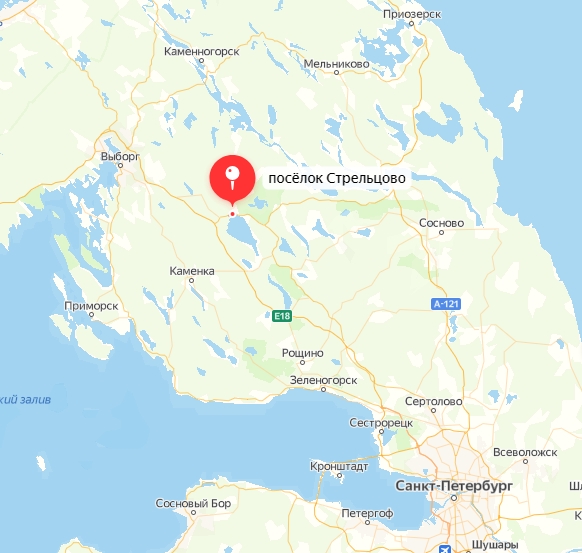 Шепот прошлого: что помнит раненое дерево